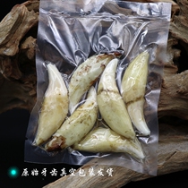 Large Tibetan mastiff tooth pendant True black dog tooth wolf tooth necklace Male and female real tooth couple jewelry tide people style