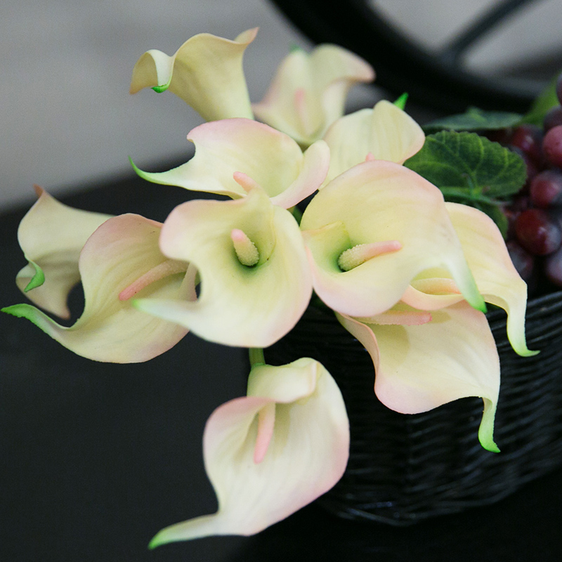 ֪�����������滨MTL-204