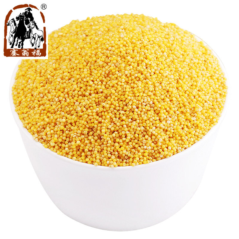 【天猫超市】塞翁福小黄米400g五谷杂粮米黄小米粥 色金黄