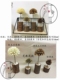Caroline handmade hoa khô micro cảnh trang trí cảnh quan Giáng sinh hình nón thông đồ trang trí bằng gỗ pier DIY trang trí đồ trang trí cọc gỗ kệ tủ trang trí phòng khách Trang trí nội thất