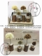 Caroline handmade hoa khô micro cảnh trang trí cảnh quan Giáng sinh hình nón thông đồ trang trí bằng gỗ pier DIY trang trí đồ trang trí cọc gỗ