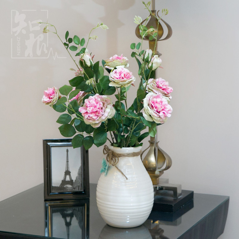 ֪�����滨õ��MDMG-001