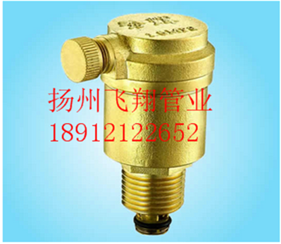 Brass exhaust valve Thread automatic exhaust valve DN15--25