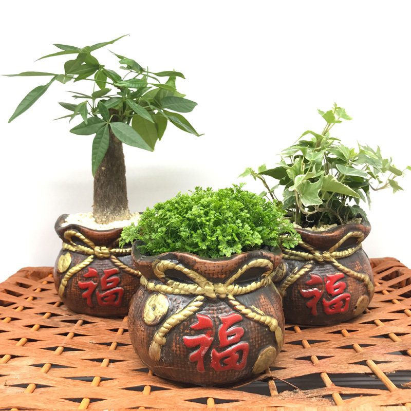 �Ӻ�Ե�����辰����1