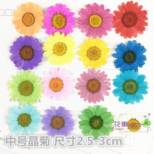 Medium Crystal chrysanthemum dried flower Flower Flower fragrant wax candle handmade plant specimen drop glue dried flower phone case