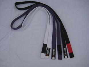 Brazilian flexo KORAL track suit Brazilian flexo suit flexographic section with BJJ BELT