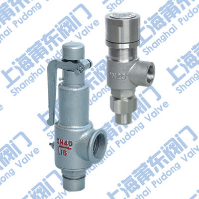 Supply A27H Y spring type safety valve (A21F-16P stainless steel safety valve) gas storage tank safety valve