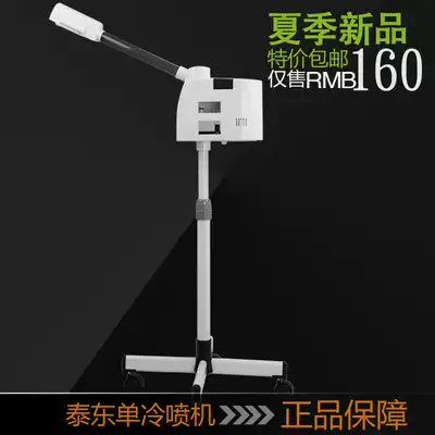 Taidong cold fog household single cold beauty sprayer Cold spray machine face steamer shrink pores