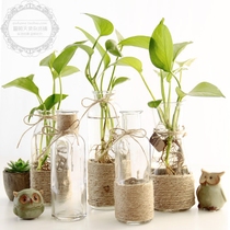 American country vintage hemp rope transparent glass vase home decoration hydroponic flower room vase