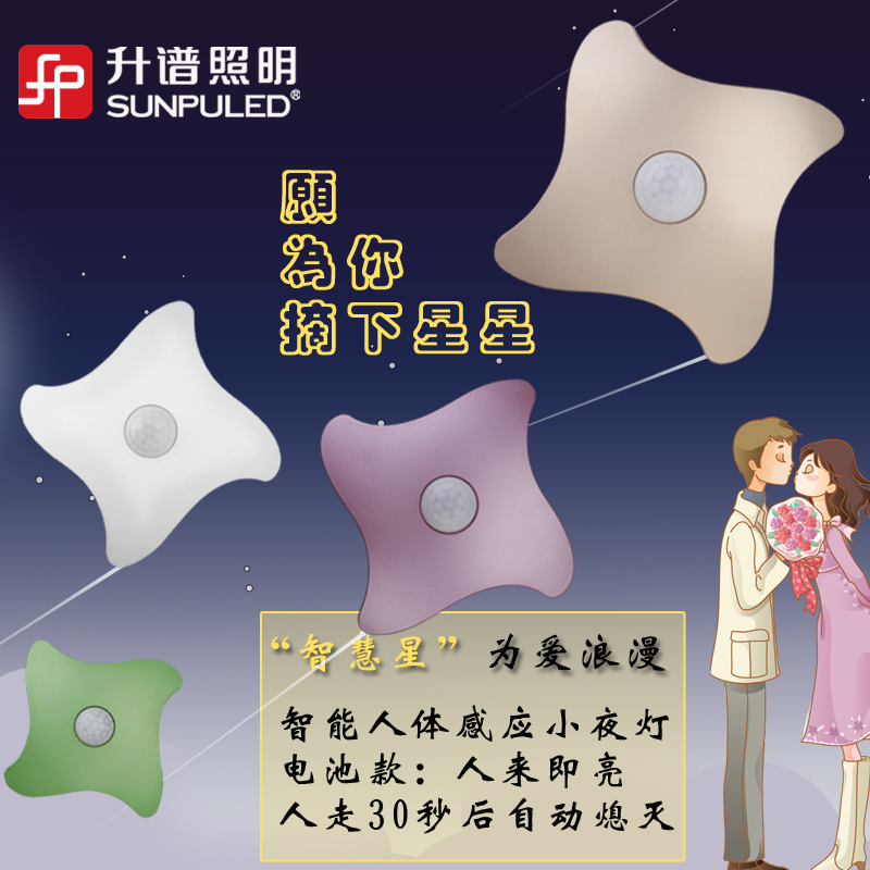 SUNPULED�����������Сҹ��DS-XYD-02B