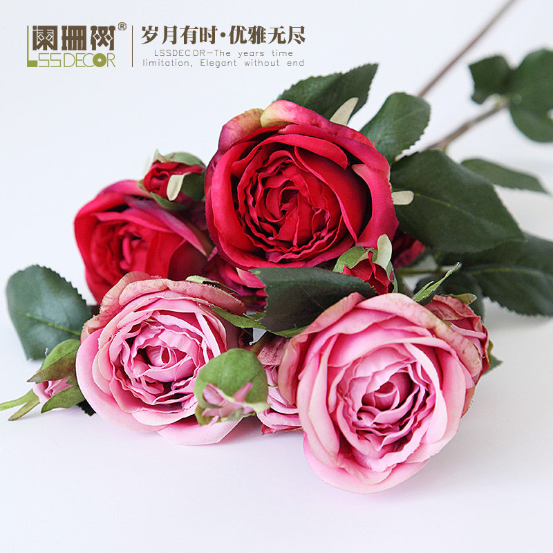 ��ɺ��6ͷ��Цõ����װ�λ�