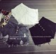 High-waisted breasted sexy ripped denim shorts for women with raw edges 2021 new summer style Korean style a-line hot pants wide-leg pants