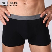 Đồ lót nam gợi cảm của Wolf Cotton Lycra Boxer U Quần lồi chính hãng