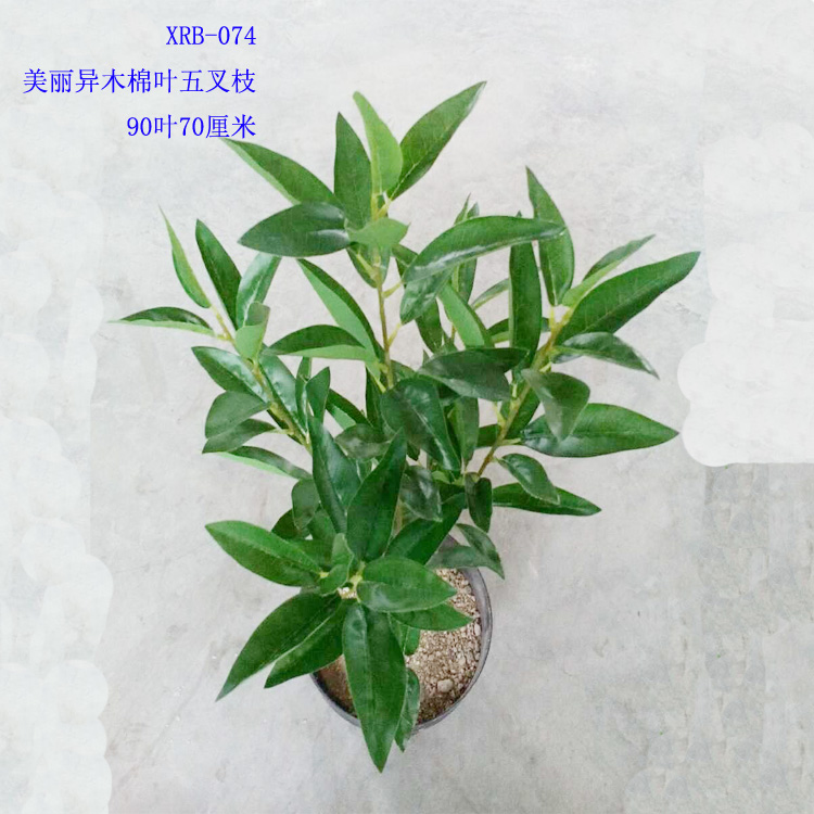 Simulation Plant Solid 5 Fork Branches Beautiful Iswood Cotton Leaf Bush Leaf DIY Museum Home Adornment Direct