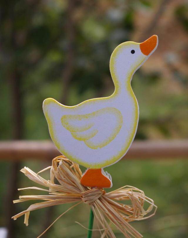Horticultural Flower Meats Flower And Grass Basin Meat Decoration Outlet Stock Wooded Small Wooden Duck small plug-in display old