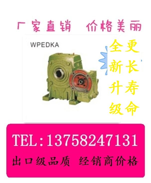 WPEDKA DUAL-CLASS WORM WHEEL WORM ROD HOLE OUTPUT WITH INPUT MOTOR FLANGE B5 VERTICAL IRON SHELL COPPER TOOTH WP REDUCER