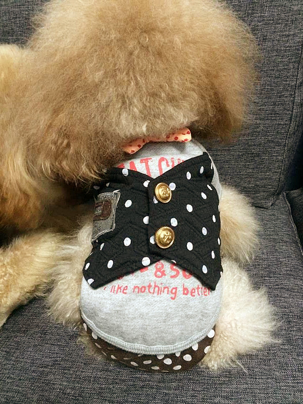 Special price Autumn winter new teddy kitty fake two little milky dog veggies dog clothing pet dress-Taobao