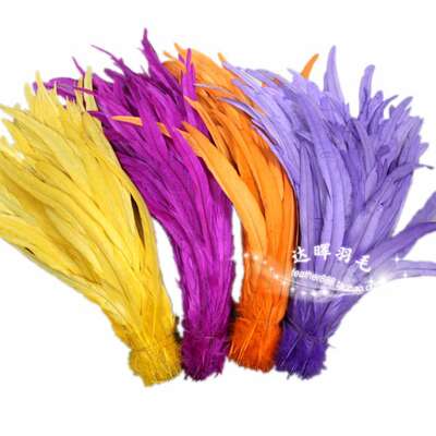 Rooster tail feathers over three years old, one N-colored feather, clothing accessories, performance props about 40cm