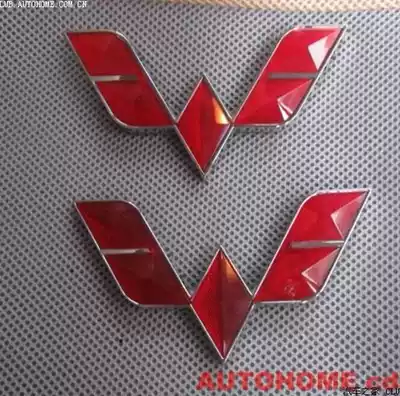 Wuling Zhiguang Rongguang Hongguang S special car front and rear car logo Wuling logo Wuling accessories