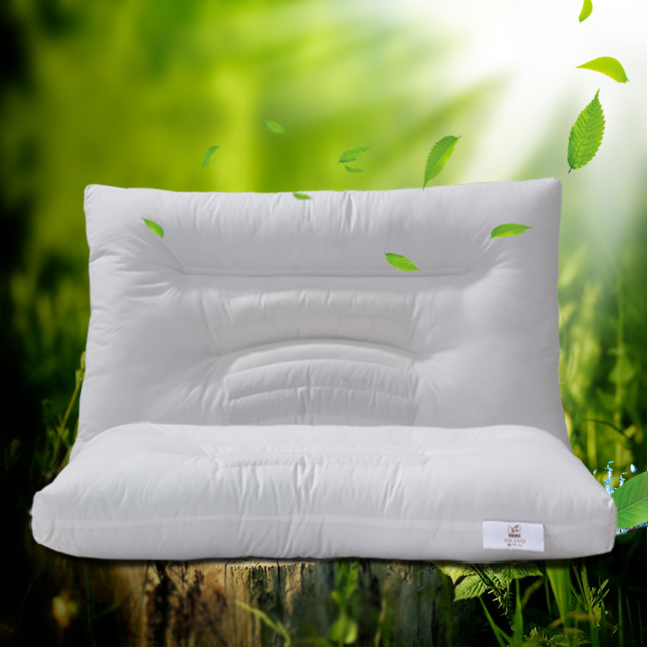 �����ȼҷ�ܰ���ֳ��˲ݱ������Ӹ���TBB0750100