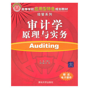 审计学原理与实务（高等学校应用型特色规划教材·经管系列）