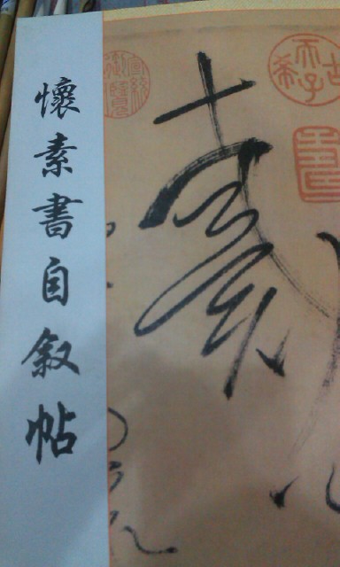 Wyvebook Self-Narrative Post Jilin Photography Publishing House Brand New Genuine copper version paper 8 open