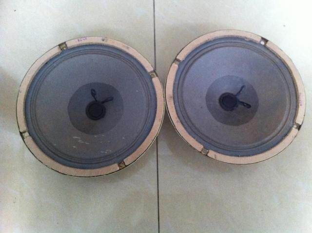 Feille YD2-1651 Antique Full Frequency Hornet 9 One Price)