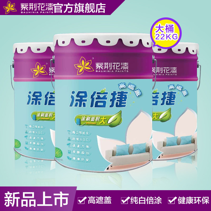 �Ͼ�����ǽ����E21-22KG