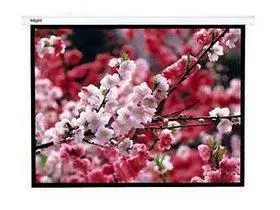 Новые Leats LTS LTS 4: 3 BEAL BEADS 100 -INCH ELECTION DEMOLE DOHRECTE DECERCE