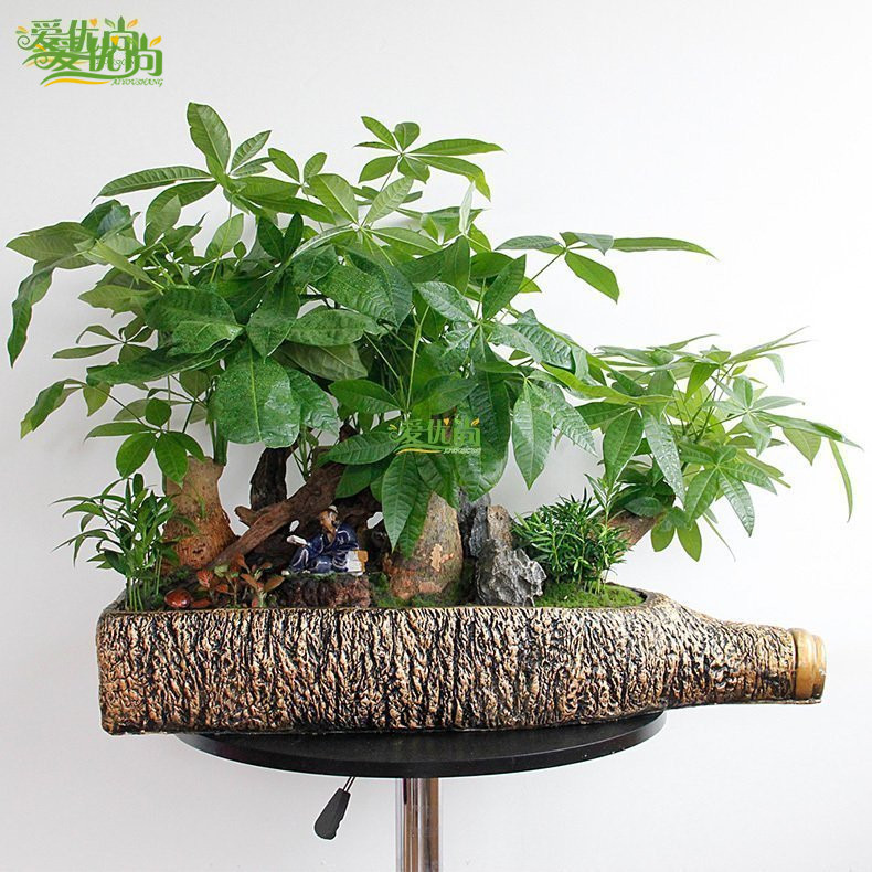 �����д�����ֲ��Ϸ���������