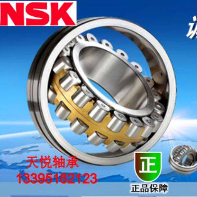 NSK Bearings 22308CDE4 22309 22310 22311 22312 22313 22314 22315