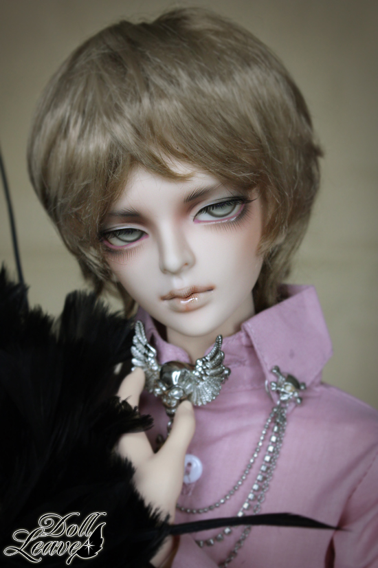 ds bjd