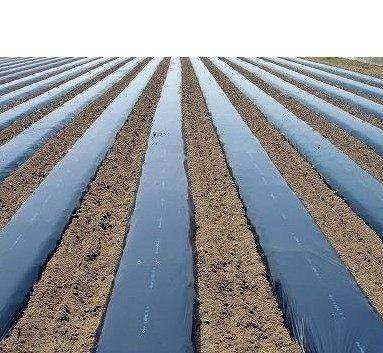 New material thickened agricultural plastic black film Black mulch film 1 m 1.5 m 2 m wide weeding special black mulch film