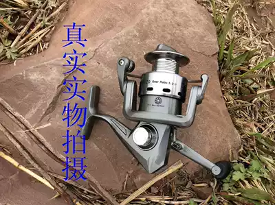 Special price metal head Sea Pole throwing Rod 10-axis reel fishing reel 20004000 fishing wheel