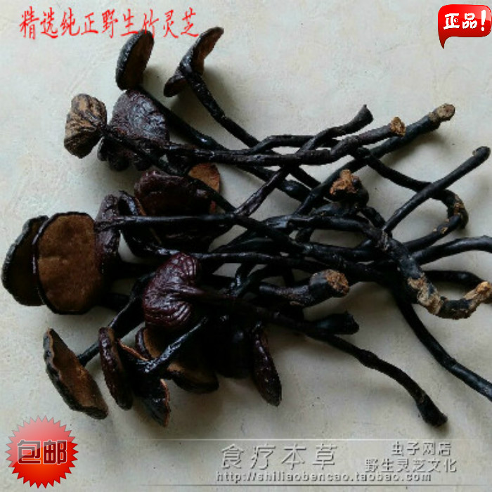 Hainan Wild Ganoderma Lucidum Premium Wild Bamboo Ganoderma Lucidum selected Thick meat Bamboo Ganoderma Lucidum Beauty Immune 250g