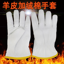 Sheepskin plus lint cotton gloves Labor protection gloves winter warm wear-resistant soft handling driving argon arc welding leather gloves