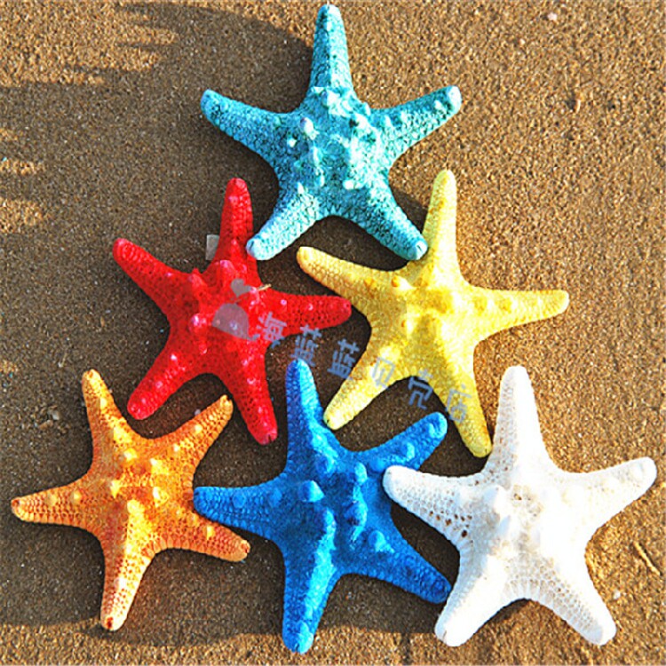Hot steamed bun bully starfish 8-18CM natural shell conch wall paste floor home decoration air-dried specimens
