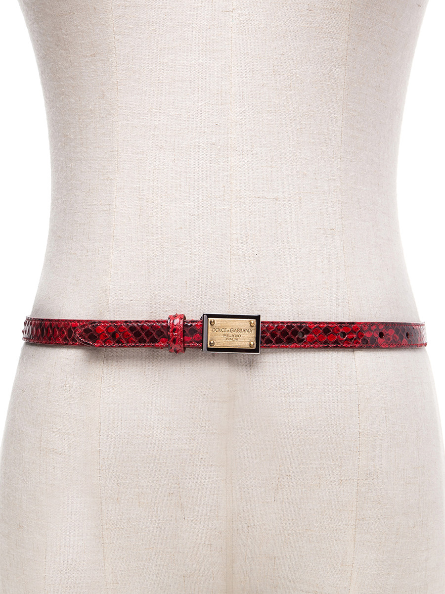 Dolce&Gabbana 红色蛇纹金属扳扣式细腰带