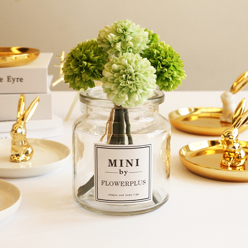 Mino dreamers INS Nordic glass vases transparent Antique Sticker Small Floral Microscape Table Decoration