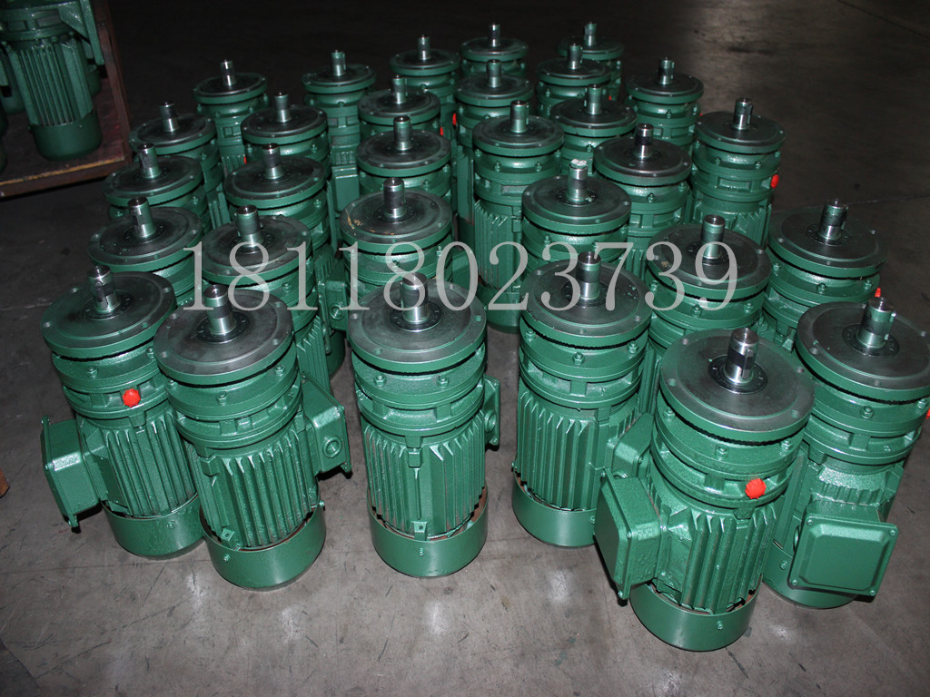 Planetary cycloidal needle wheel reducer upright horizontal national standard copper core rotor BLD single stirrer conveyor belt motor