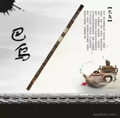 Mori bird brand double socket Zizhu carved poem adjustable F tune G tune beginner adult children