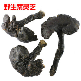 Shennongjia Deep Mountain Wild Ganoderma lucidum slice Ganoderma lucidum powder Ganoderma lucidum purple Ganoderma lucidum wild Ganoderma lucidum Linzhi mushroom fake one lose ten