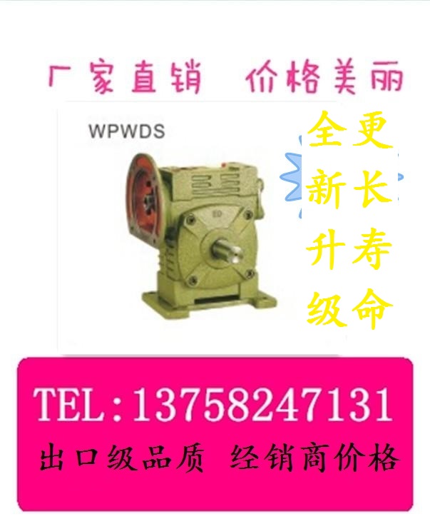 WPWDX WPWDO WPWDT WPWDV Worm gear reducer Small speed reducer WP reducer
