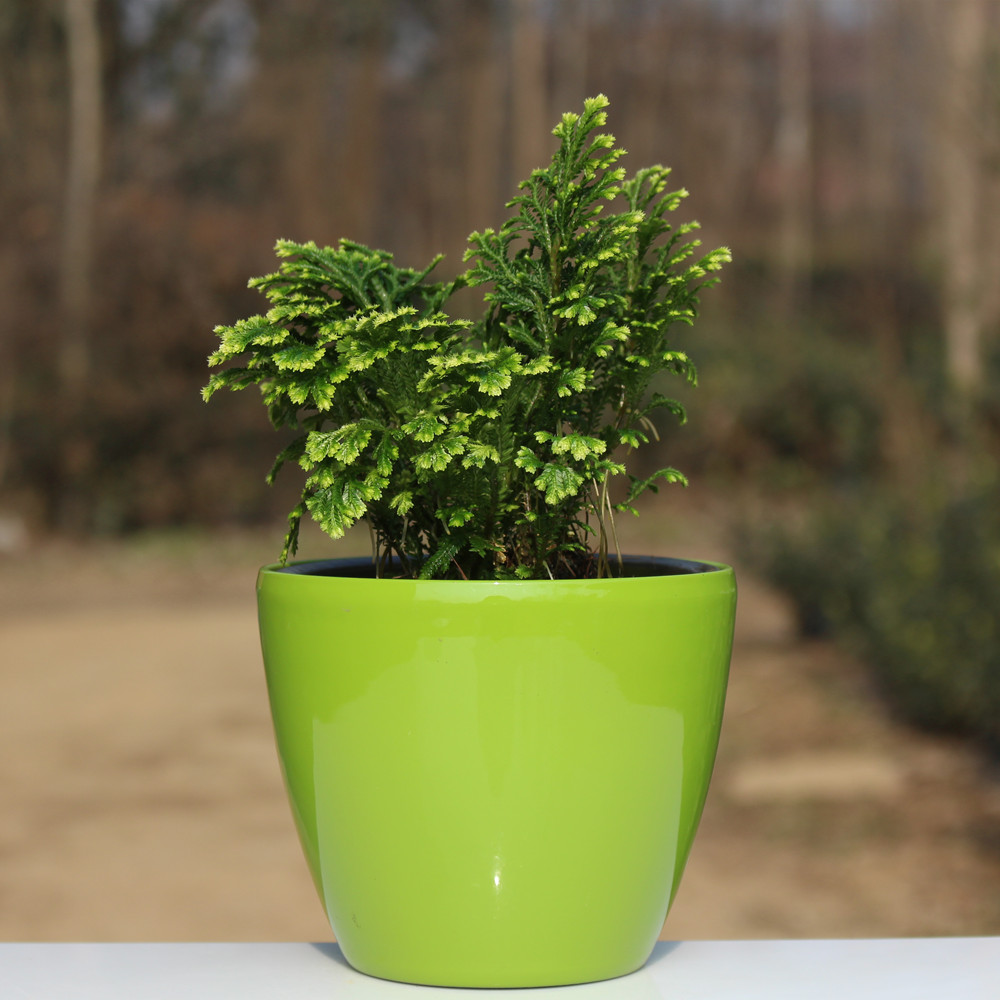 �������칫����ֲ�����辰