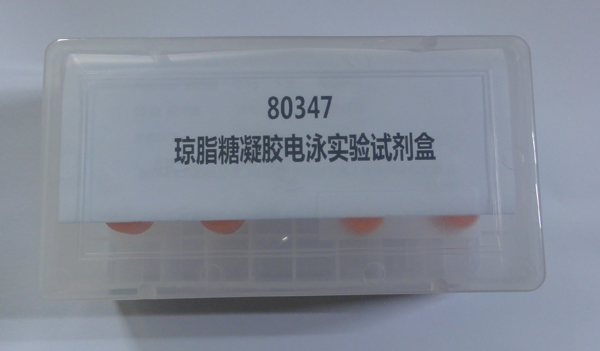 80347 Agarose Gel Electrophoresis Kit Electrophoresis Complete Reagent High School Biology Package