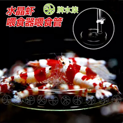 Crystal Shrimp Glass Feeding Tube Feeding Basin Ornamental Shrimp Basin Feeding Basin High Transparent High Definition Acrylic Feeding Tube