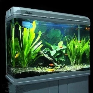 Adia KB series 1.2 meters long fish tank aquarium contains a full set of base cabinet KB-1200F KB-1200HF