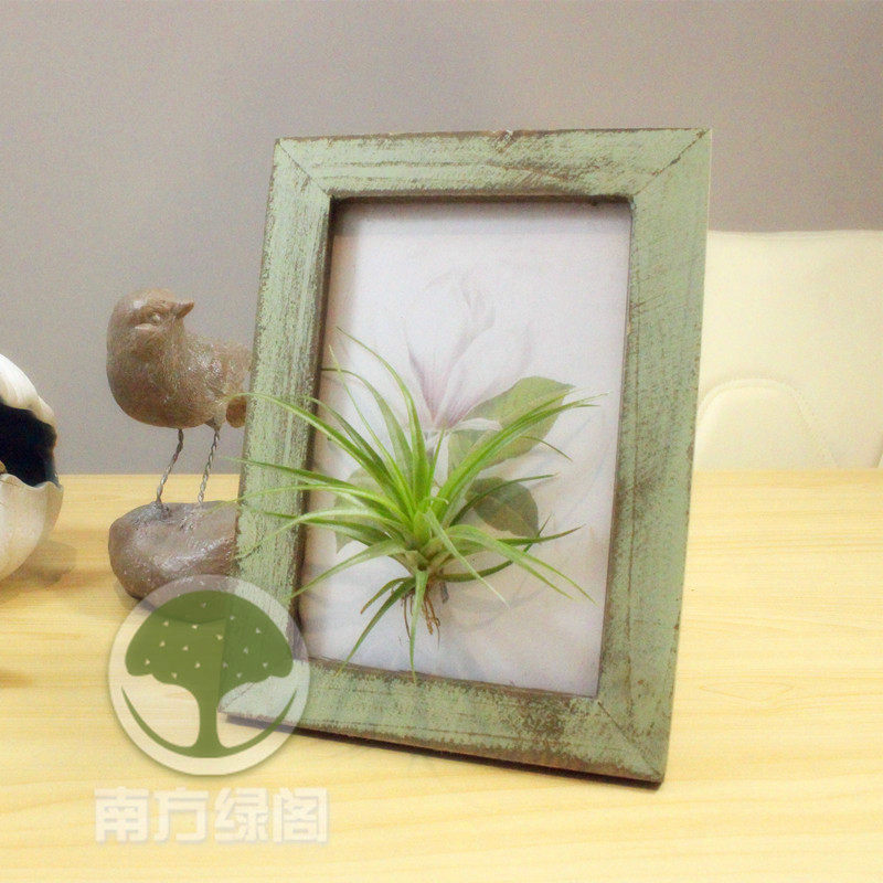 Air pineapple soilless green plant retro photo frame creative gift DIY flower pot office table micro landscape