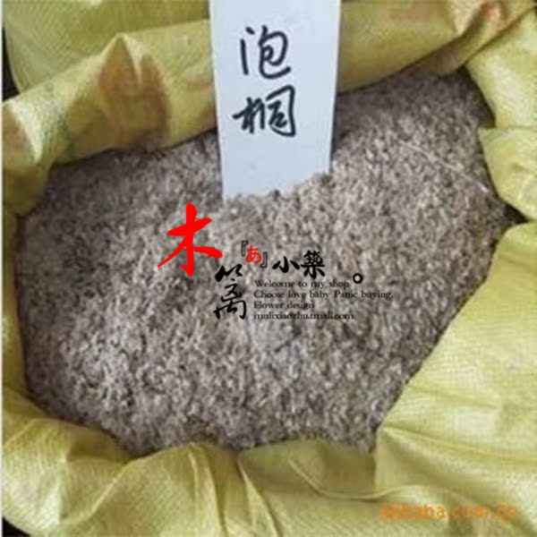 泡桐 空桐木 水桐 紫花树毛 盆栽室内苗花卉 阳台花 观花植物