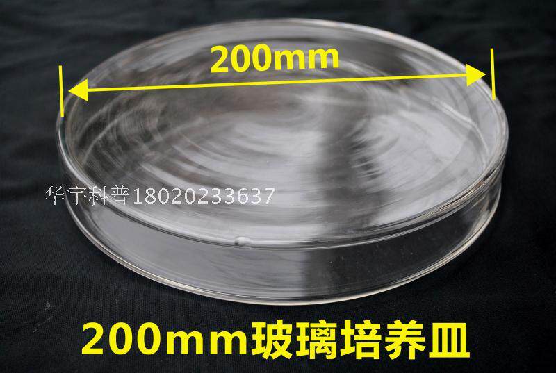 玻璃培养皿 200mm 生物实验器材 细菌培养 组织培养,可开票！